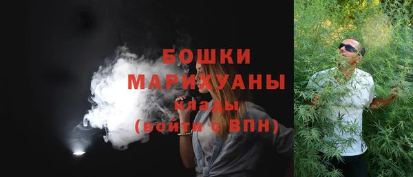 дживик Гусиноозёрск