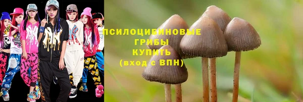 a pvp Гусев