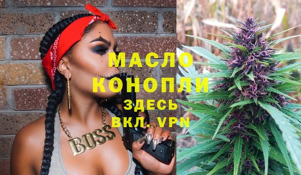 крисы Горняк