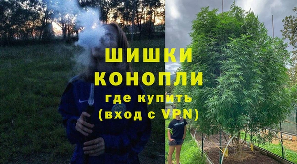 a pvp Гусев
