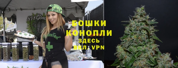 a pvp Гусев