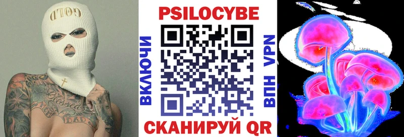 Псилоцибиновые грибы Cubensis  Строитель 