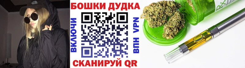 Бошки Шишки гибрид Строитель